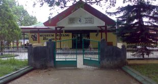 Museum Wayang Banyumas, Surganya Wayang